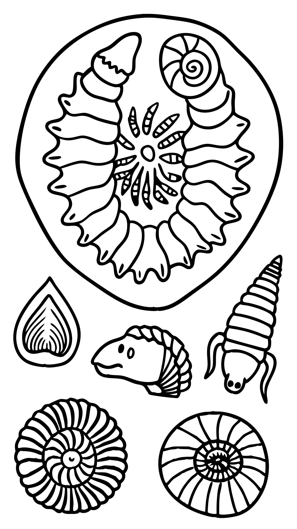 fossil coloring pages